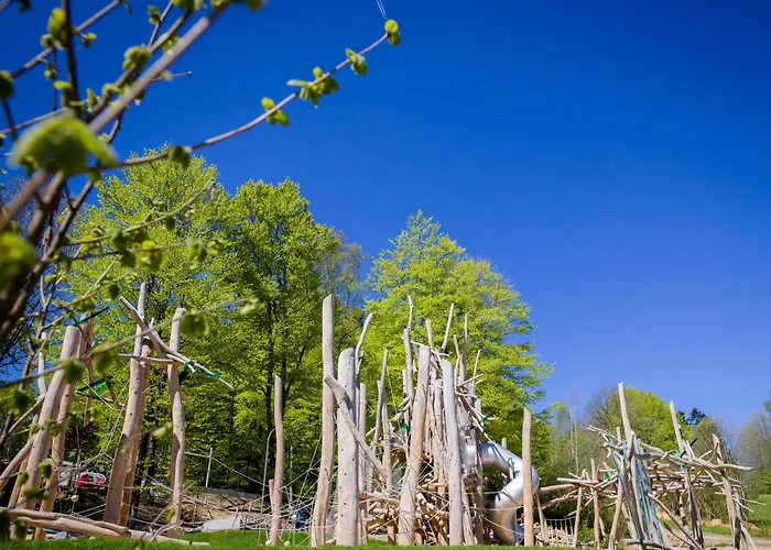 Ferienpark Geyersberg Inklusive Aktivcard Bayerischer Wald