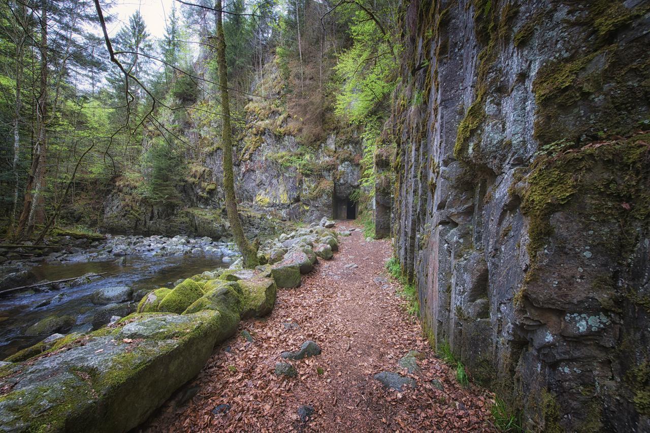 Geyersberg Inklusive Aktivcard Bayerischer Wald Freyung
